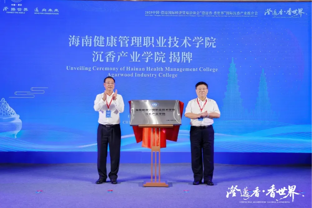 2025年年度新闻精彩放送