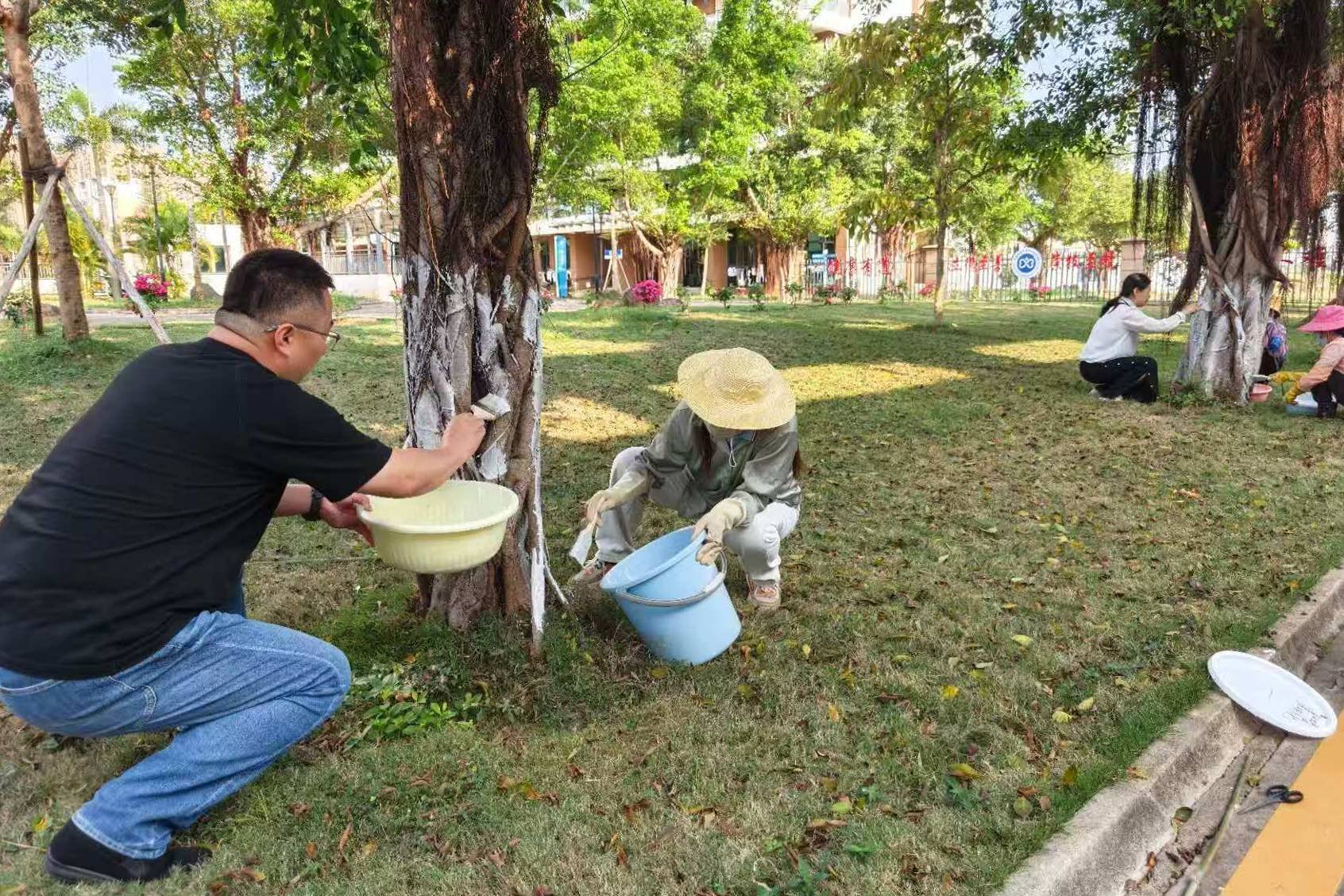 总务处组织开展树木涂白养护专项工作